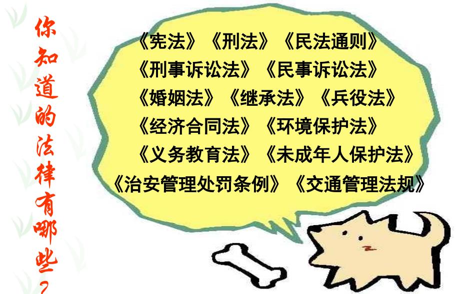 法在身边主题班会.ppt_第3页