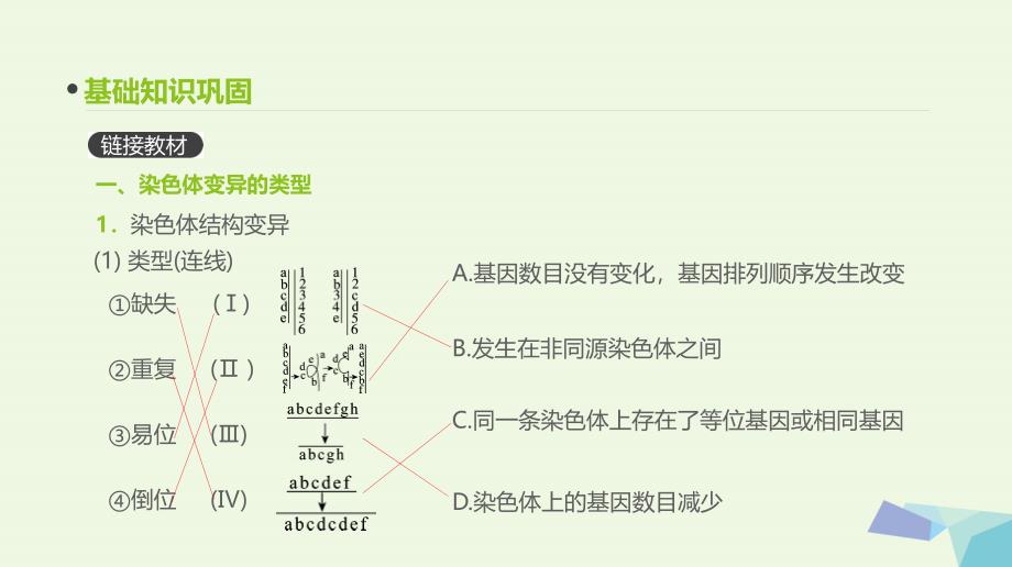 全国版高考生物一轮复习基础知识巩固考点互动探究考例考法直击教师备用习题第7单元遗传变异与进化第21讲染色体变异与育种基因工程课件共77页_第3页