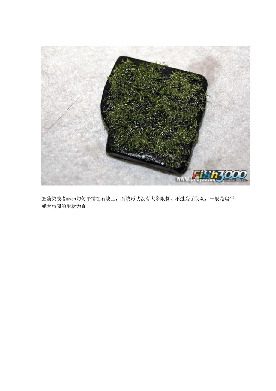 鹿角苔固定小技巧moss球的简单做法_第2页