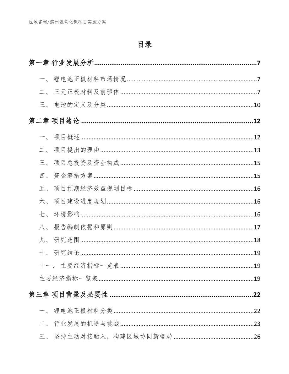 滨州氢氧化镍项目实施方案（模板范本）_第1页