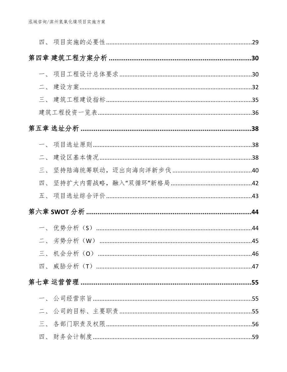 滨州氢氧化镍项目实施方案（模板范本）_第2页