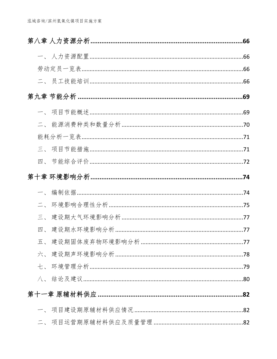 滨州氢氧化镍项目实施方案（模板范本）_第3页