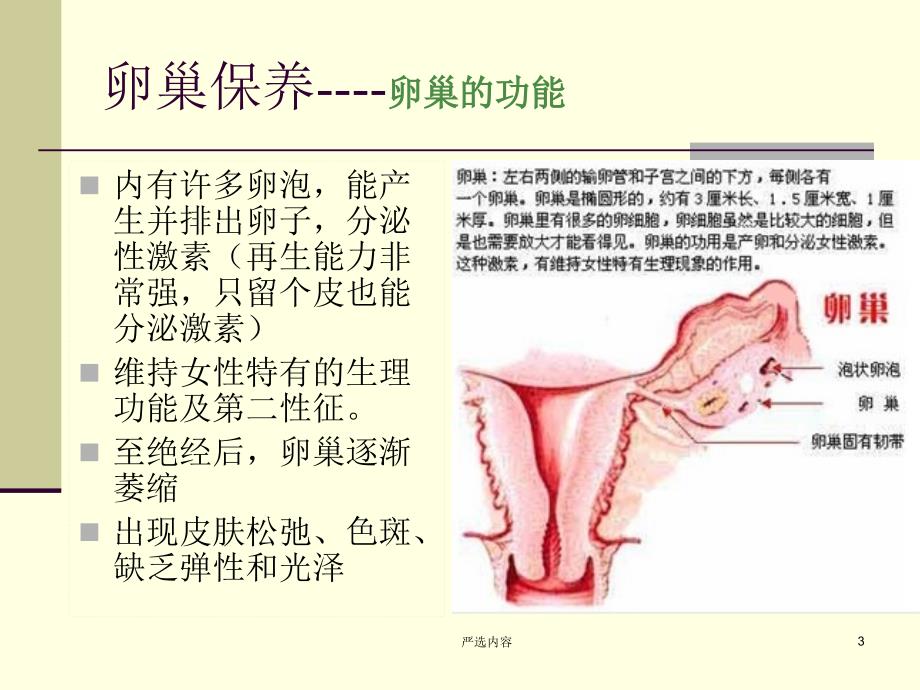 卵巢保养4课时优选内容_第3页