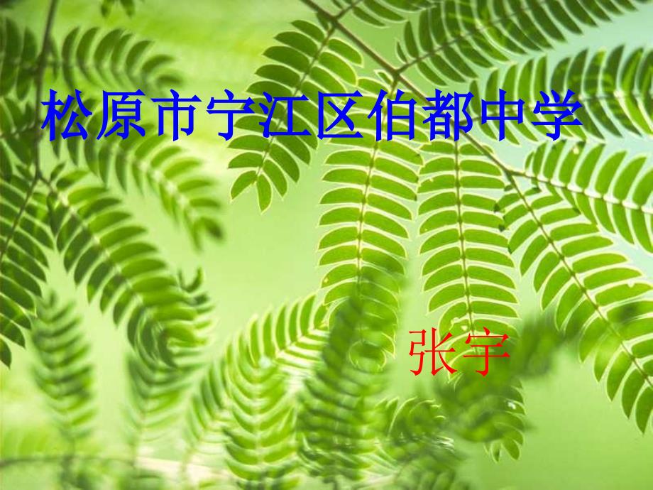 第四节探究串联并联电路中电流的规律区级公开课课件五_第1页