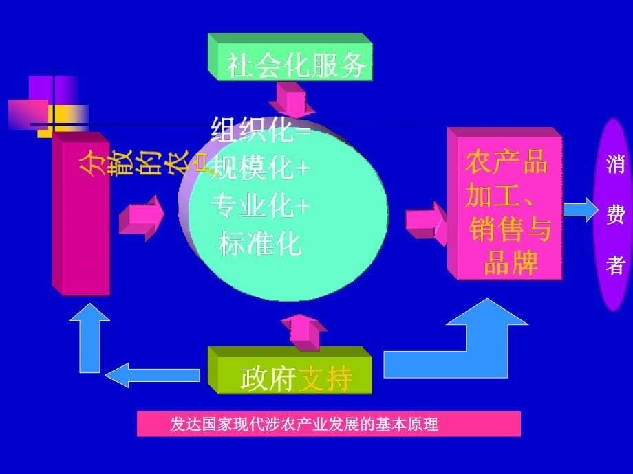 农业产业化经营与农业经营体制创新下_第5页