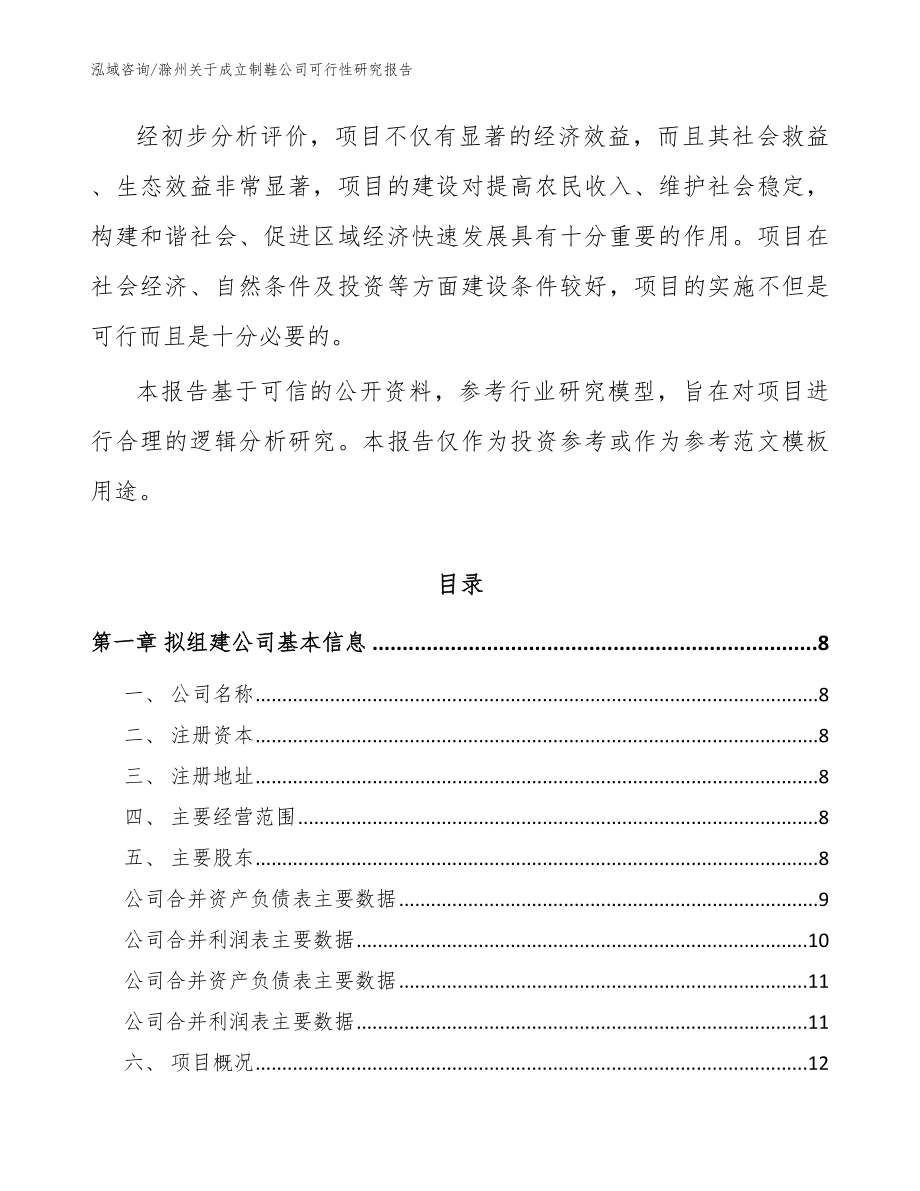滁州关于成立制鞋公司可行性研究报告【范文】_第3页