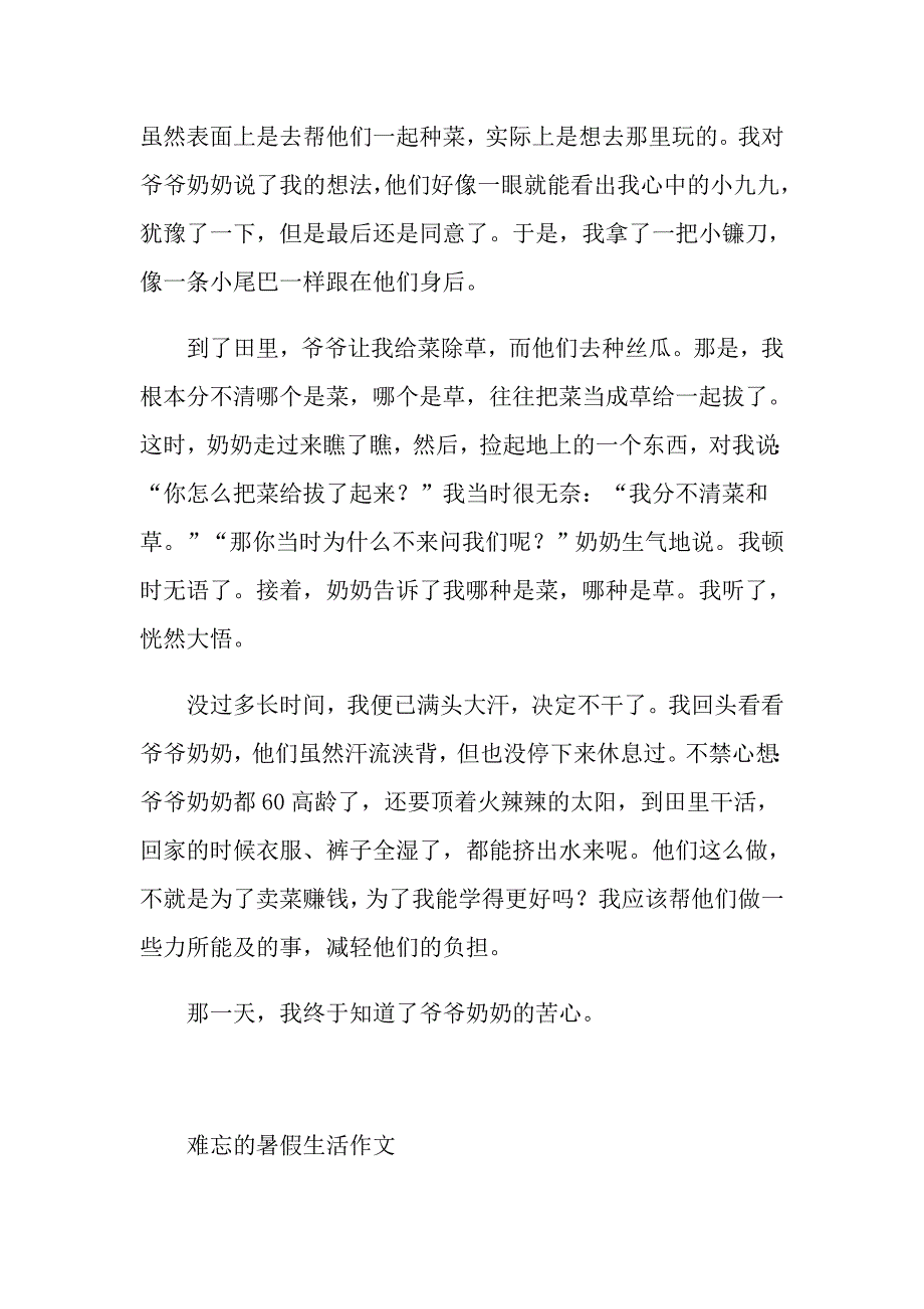 难忘的暑假生活作文5篇_第3页