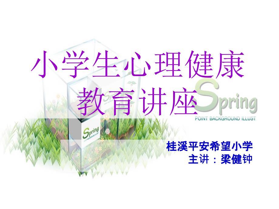 小学生心理健康教育讲座