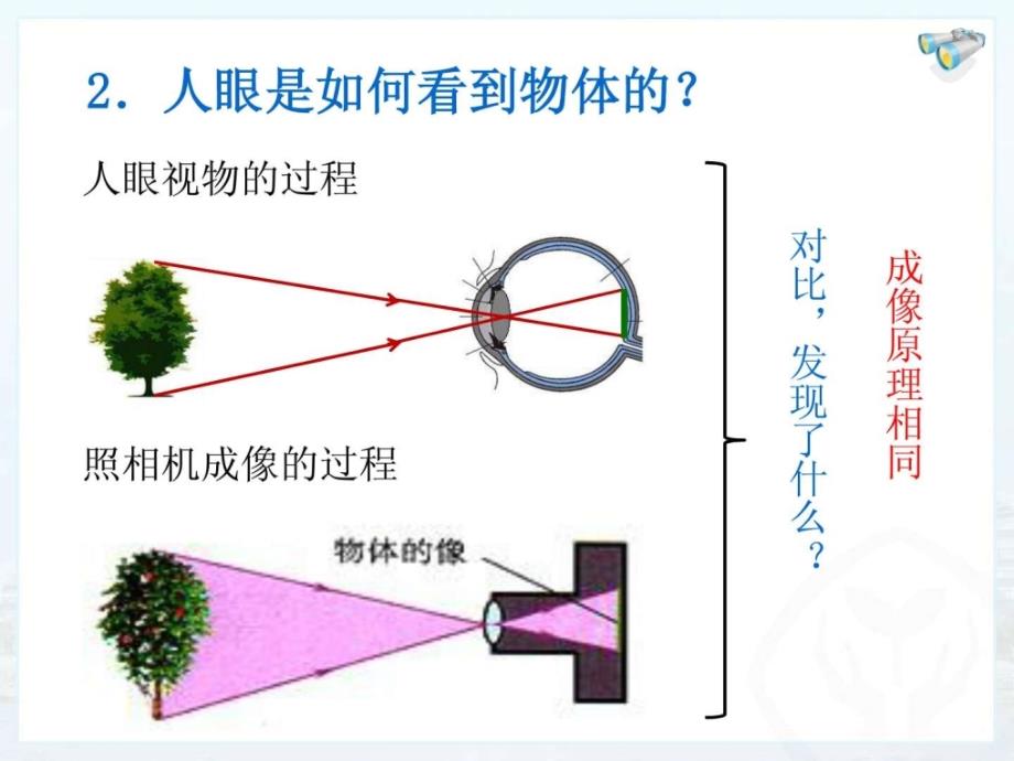 新人教版初中物理5.4眼睛和眼镜课件_第4页