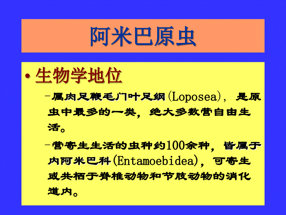 c寄生虫学阿米巴_第2页