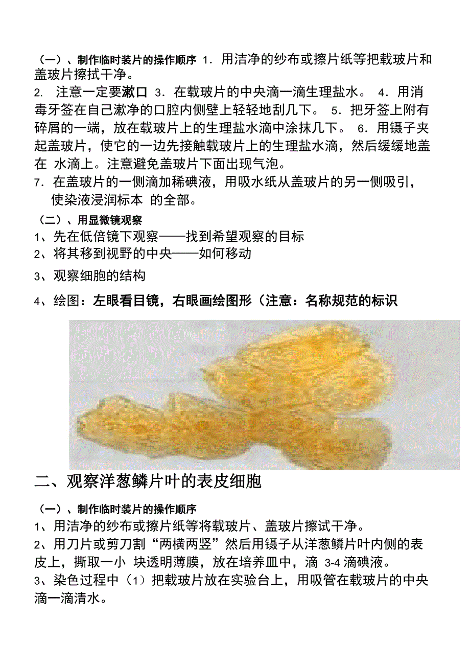 观察人的口腔上皮细胞的制作步骤_第1页
