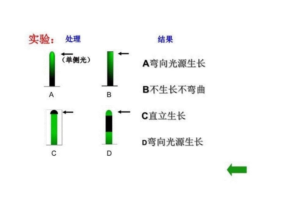 最新原始稿件必修三第三章植物生长素的发现ppt课件_第5页