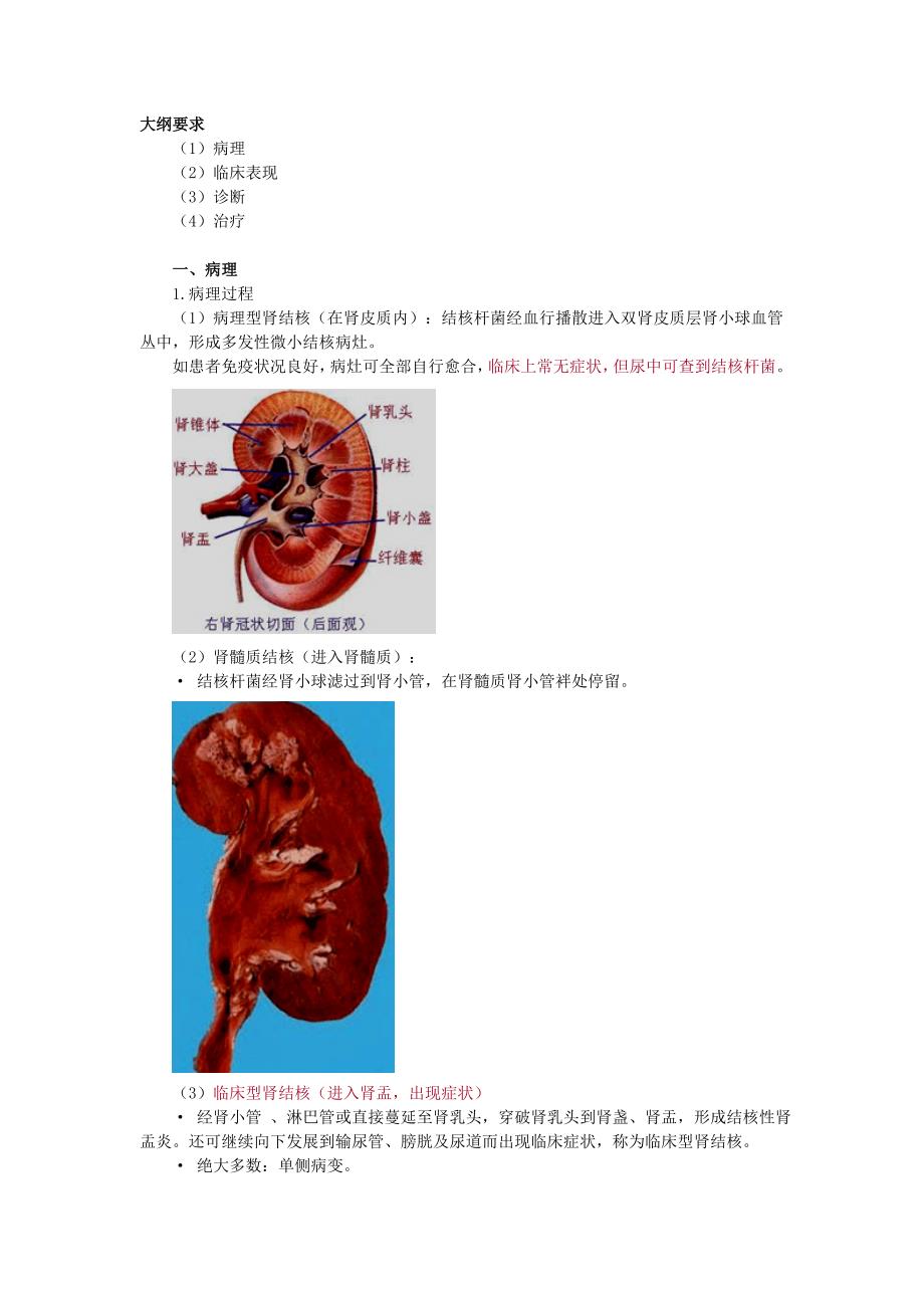 第五章 肾结核 (2)(精品)_第1页