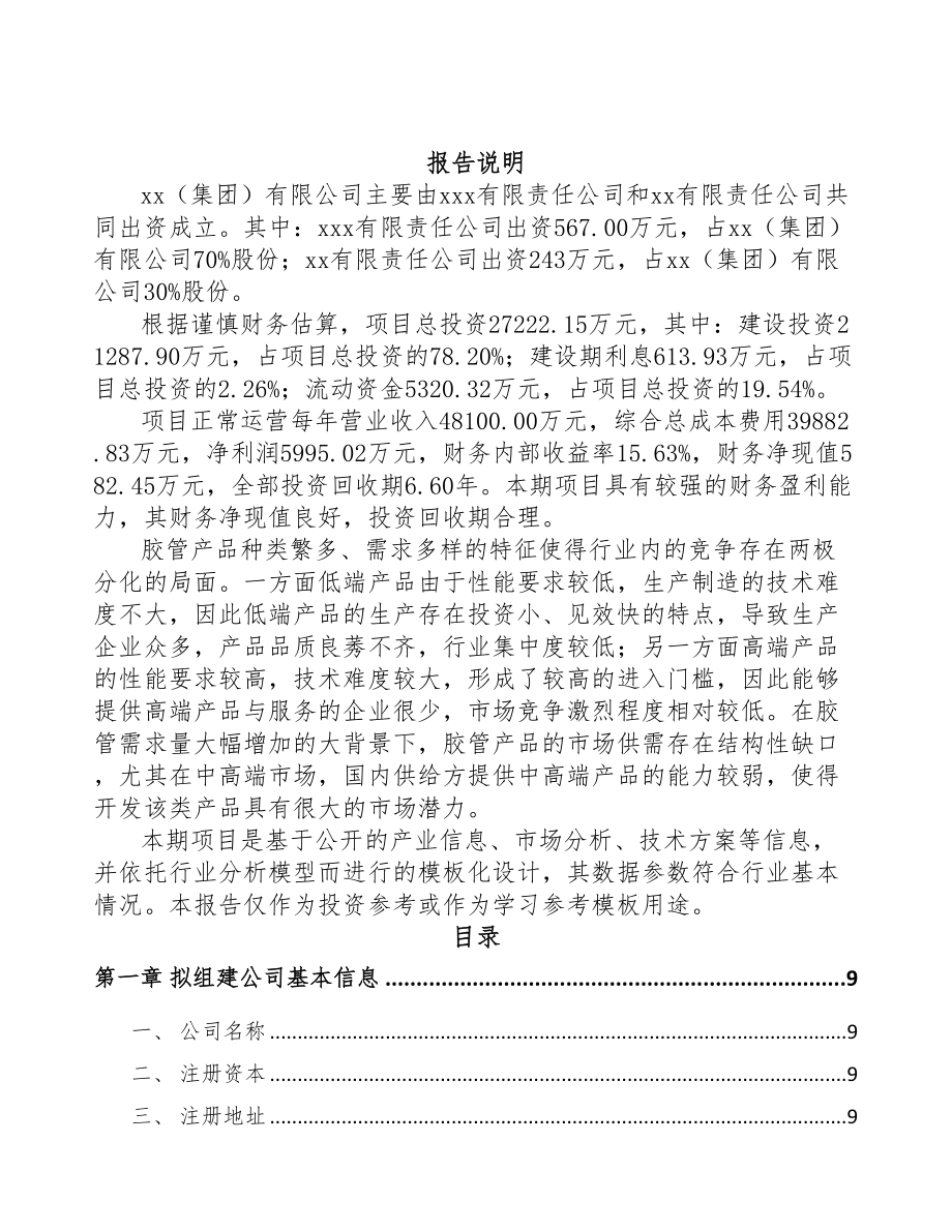 福建关于成立橡胶软管公司可行性研究报告(DOC 87页)_第2页
