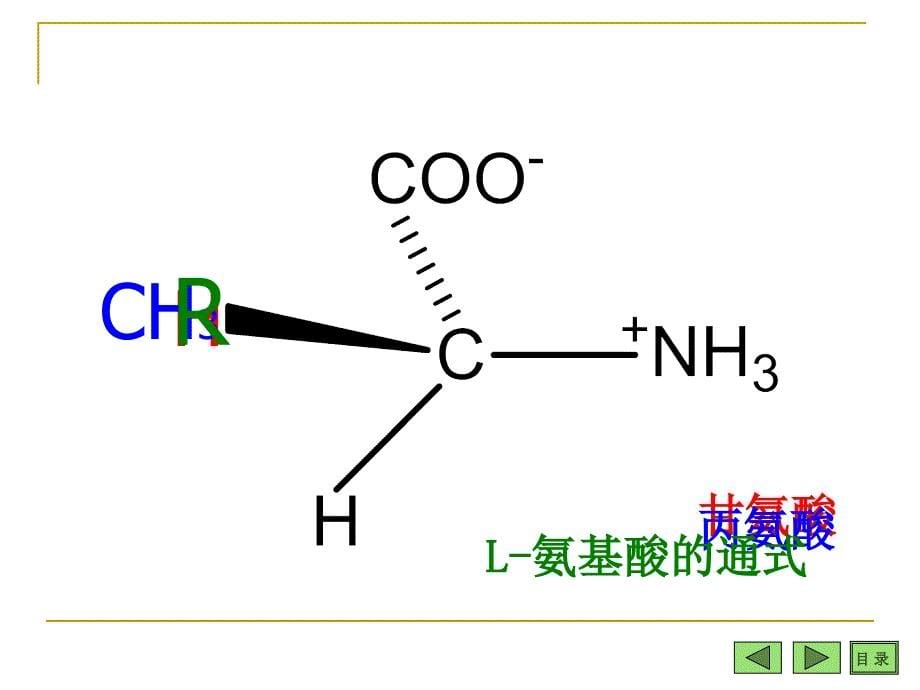 氨基酸酸与核苷酸描述_第5页