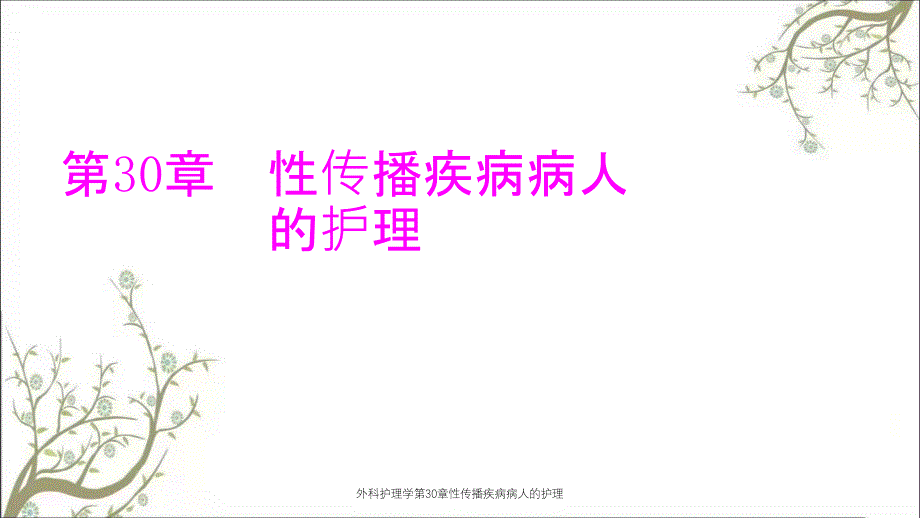 外科护理学第30章性传播疾病病人的护理_第1页