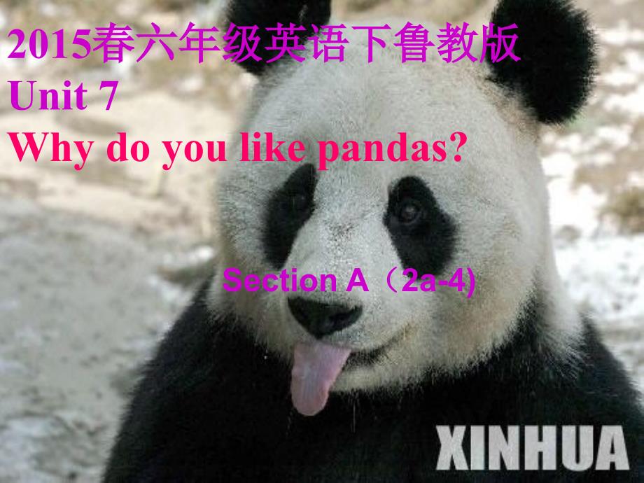 六年级英语下册 Unit 7 Why do you like pandas.Section A（2a-4）课件 鲁教版五四制_第1页