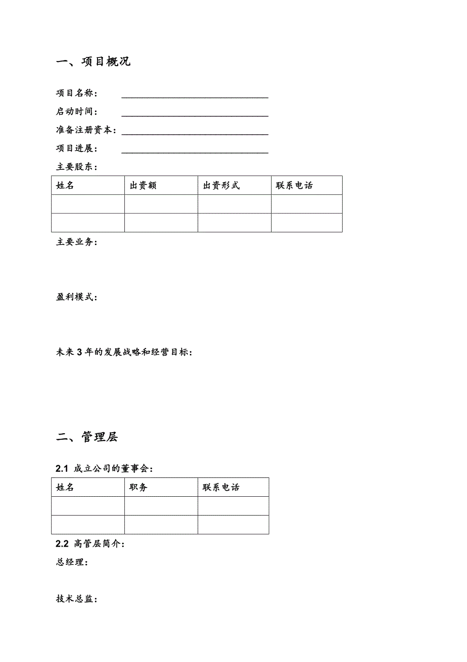 ”资本中国“商业计划书_第2页