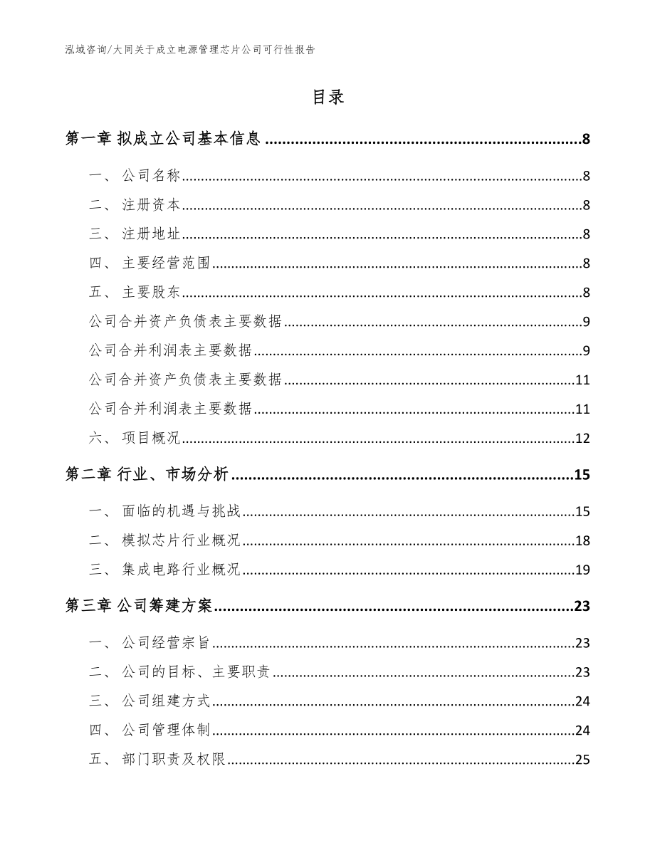 大同关于成立电源管理芯片公司可行性报告【模板】_第2页