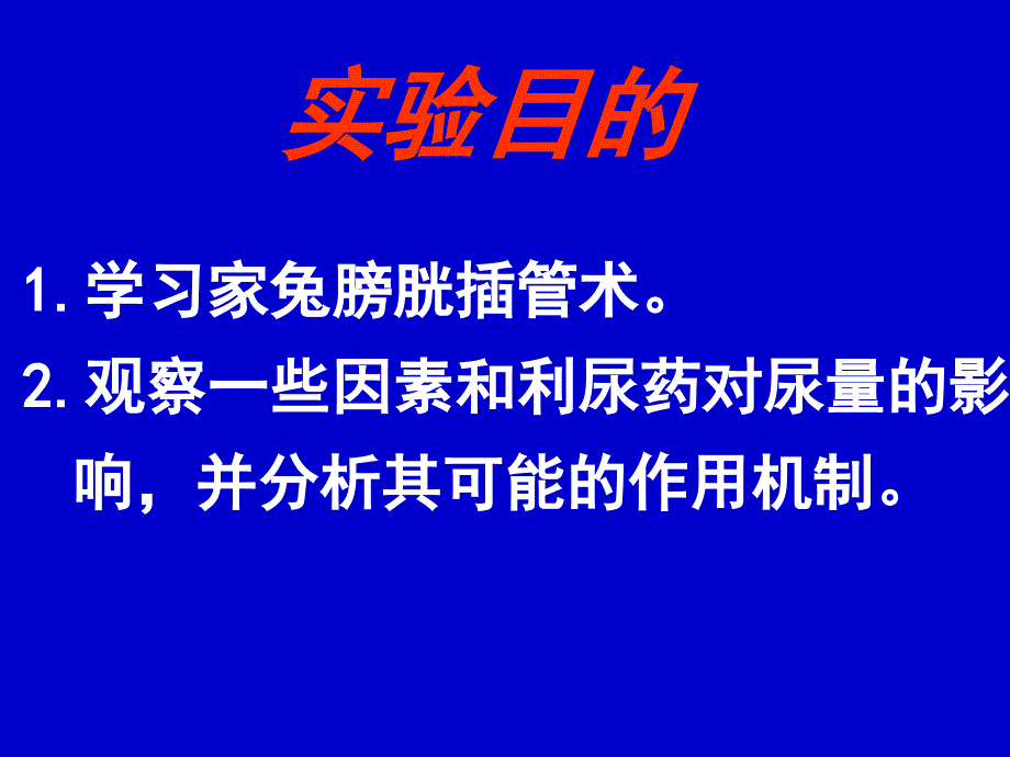 尿液生成的影响因素(课件_第2页