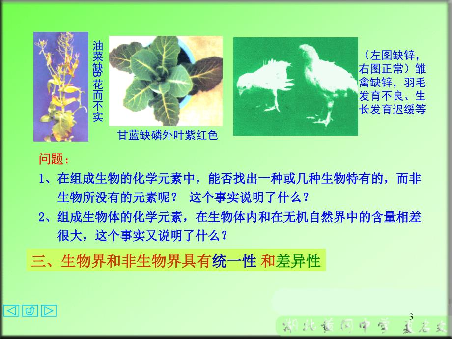 问题生物具有哪些基本特征_第3页