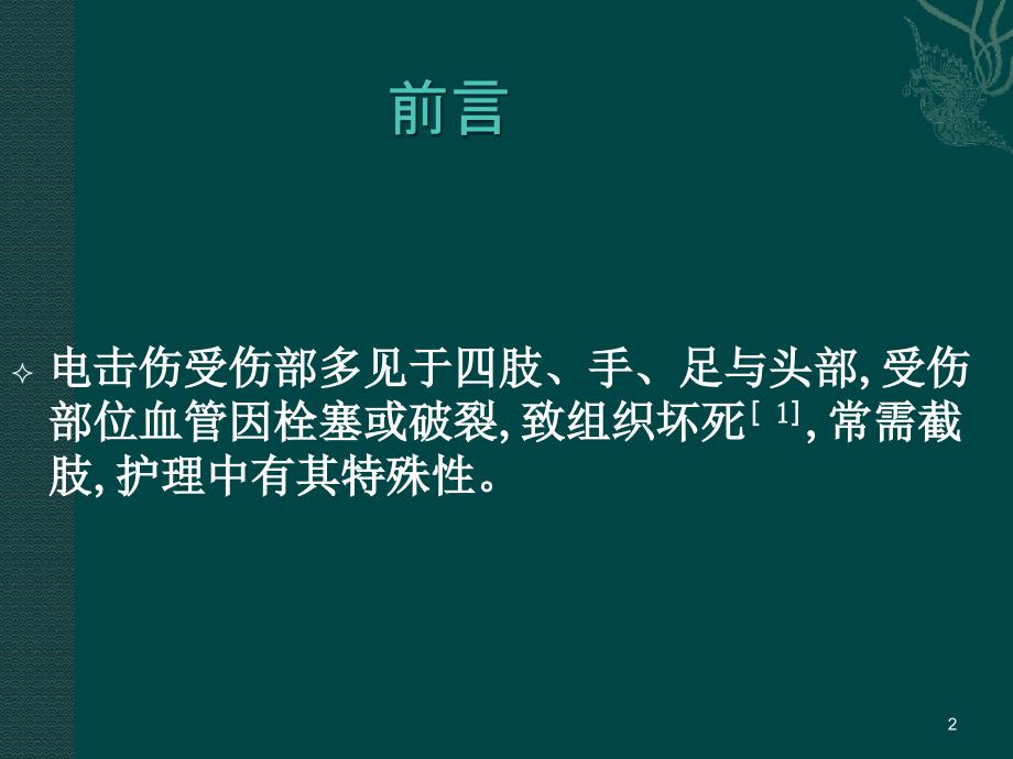 一例电击伤的护理个案ppt参考课件_第2页