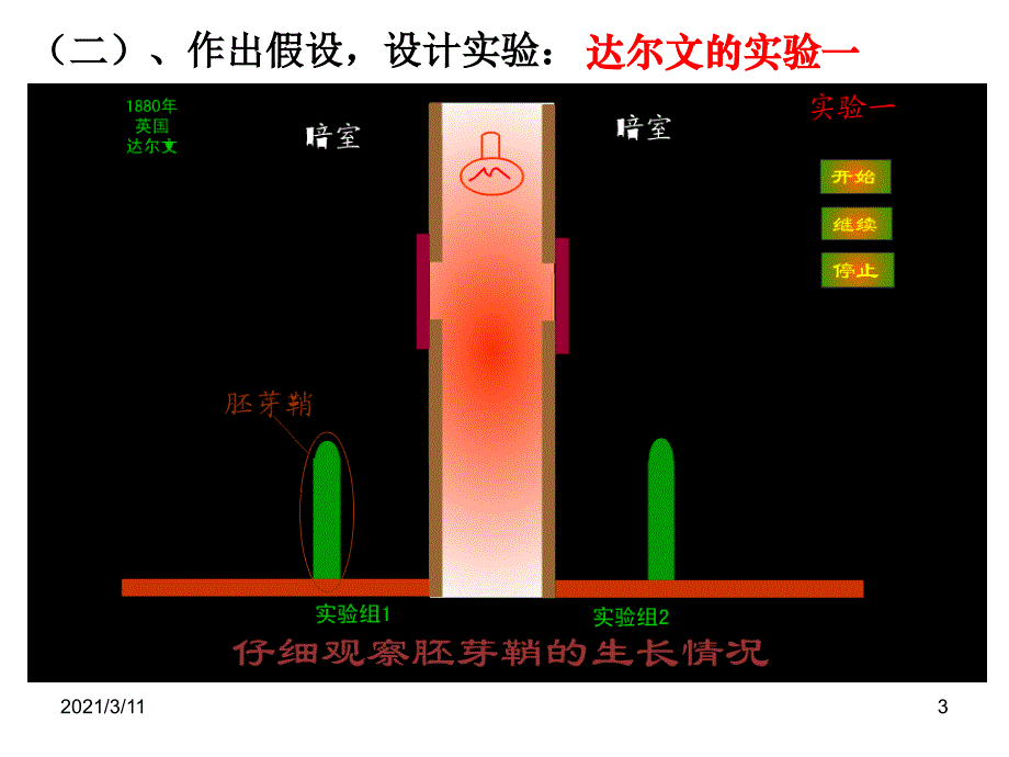 植物的激素调节_第3页