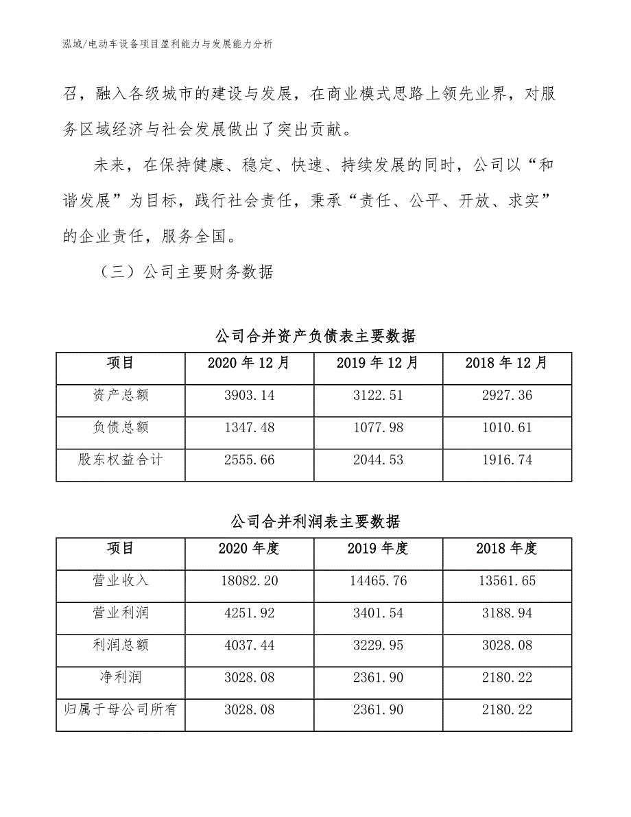 电动车设备项目盈利能力与发展能力分析【参考】_第4页