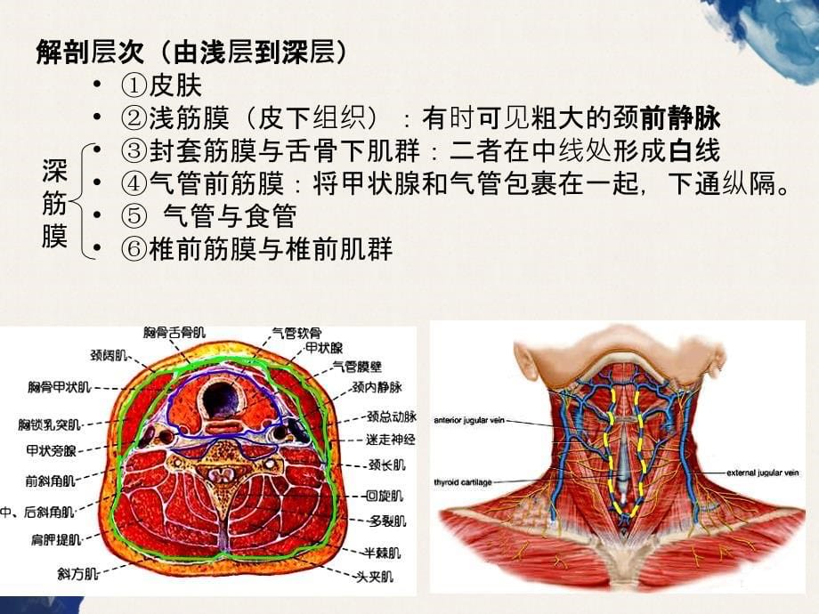 气管切开术Tracheotomy_第5页