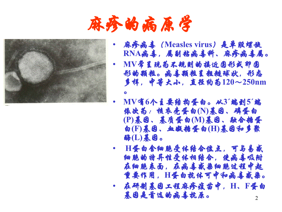 麻疹教育系统ppt课件_第2页