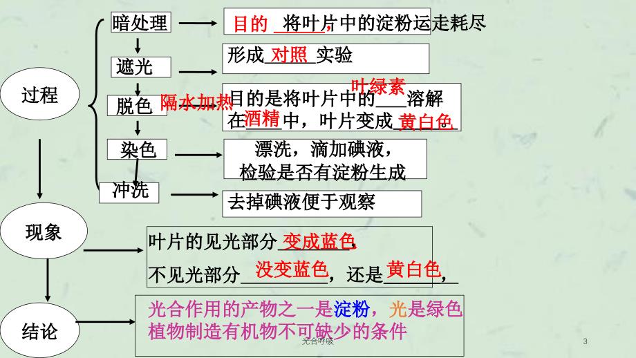 光合呼吸课件_第3页