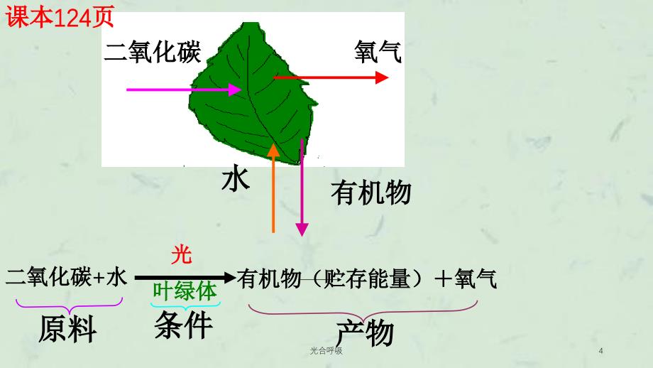 光合呼吸课件_第4页