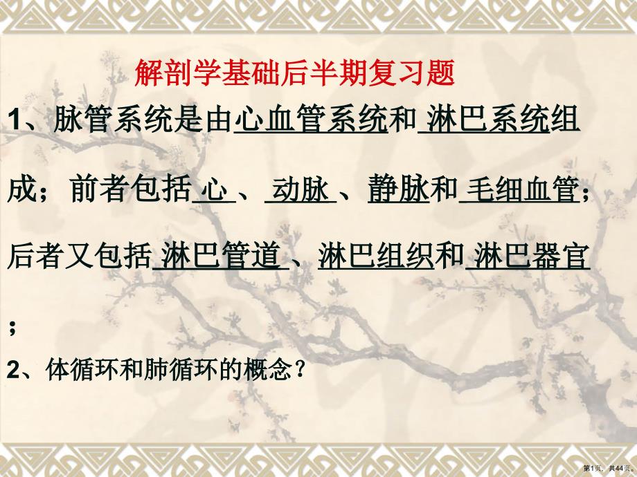护理中专解剖学基础复习题教学课件_第1页