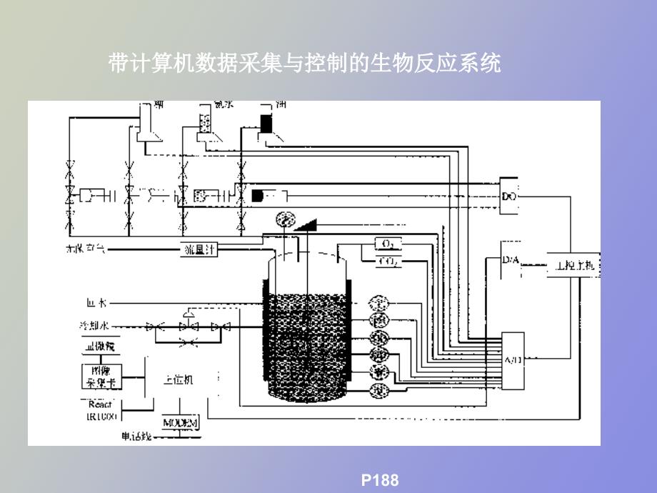 发酵过程参数测定_第3页