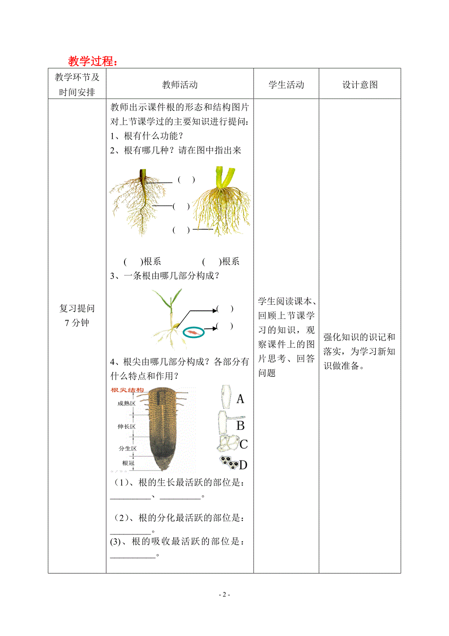 10根的结构和功能22_第2页