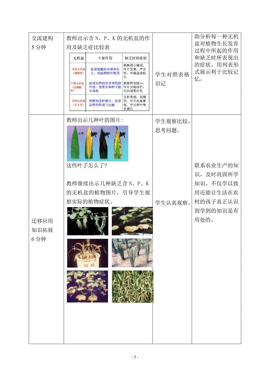 10根的结构和功能22_第5页