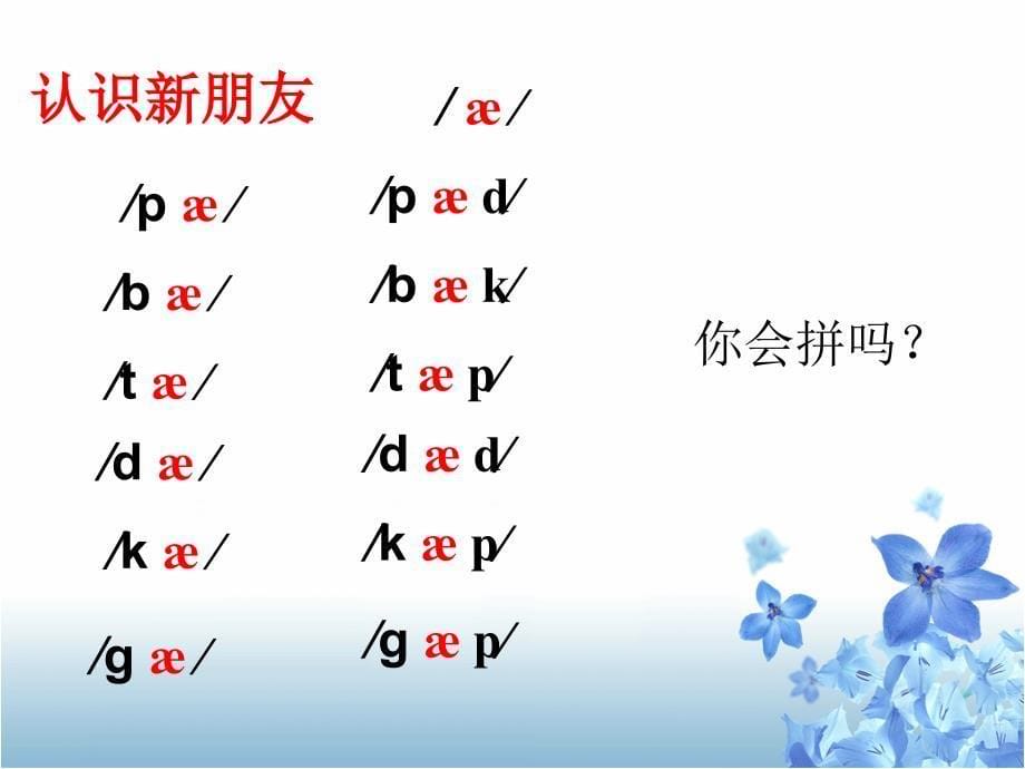 语音教学第一课时_第5页