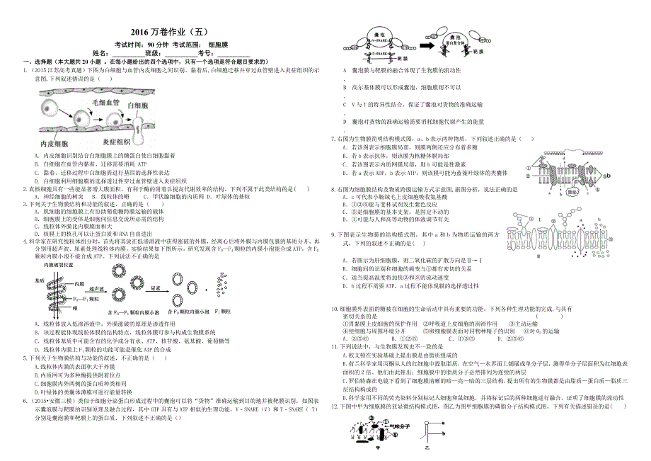 作业（五）细胞膜_第1页