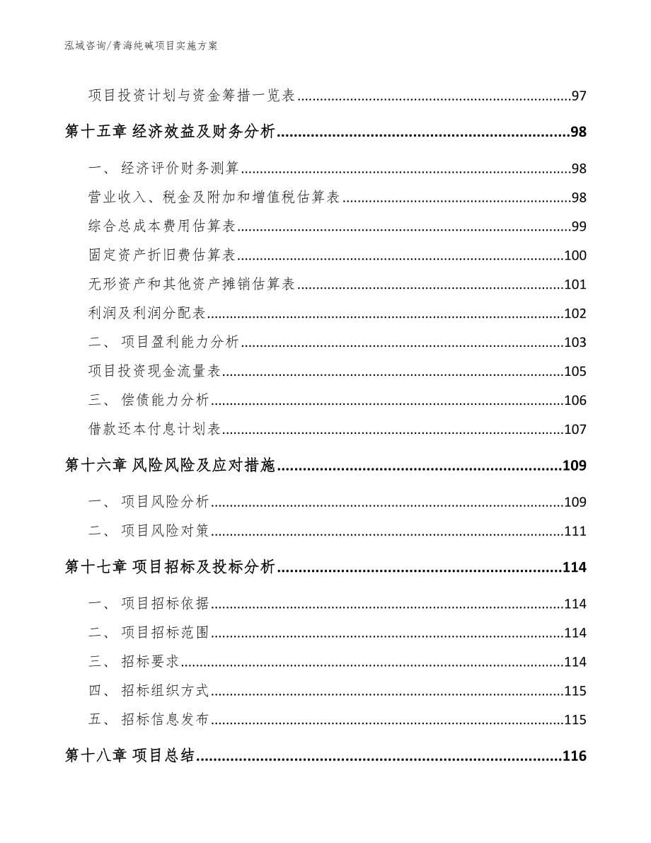 青海纯碱项目实施方案_范文参考_第5页