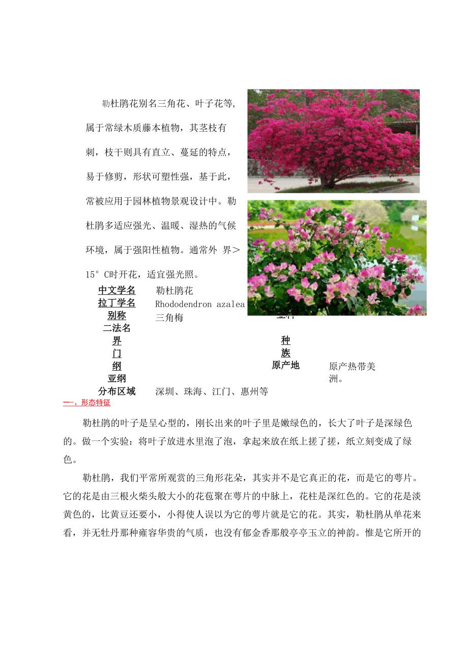 常绿木质藤本植物_第1页