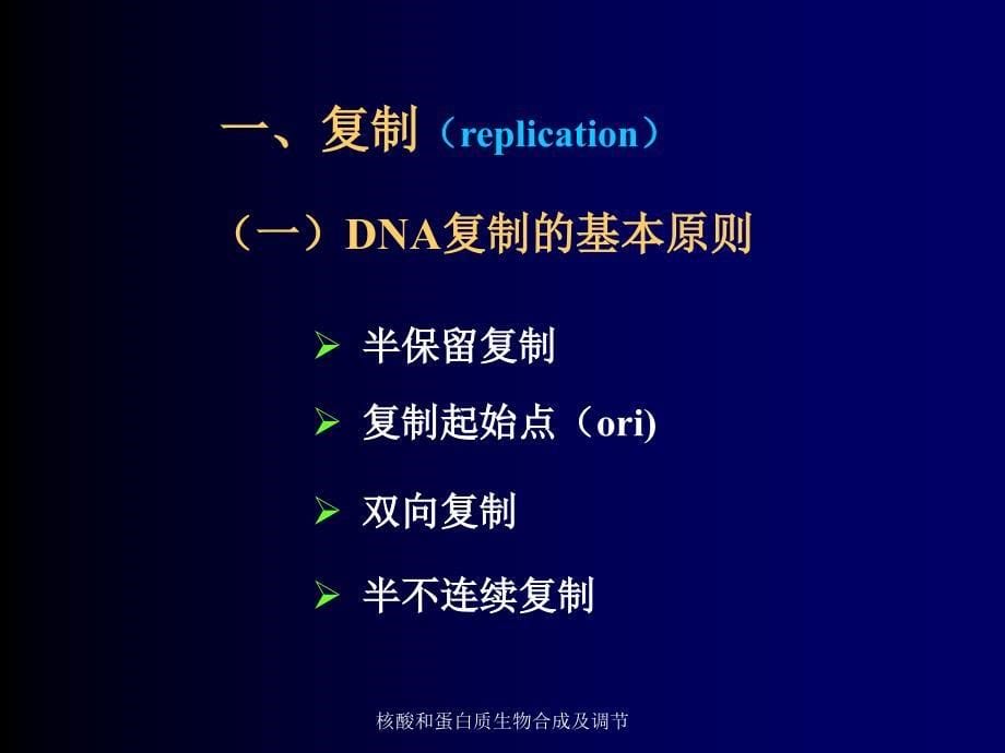 核酸和蛋白质生物合成及调节课件_第5页