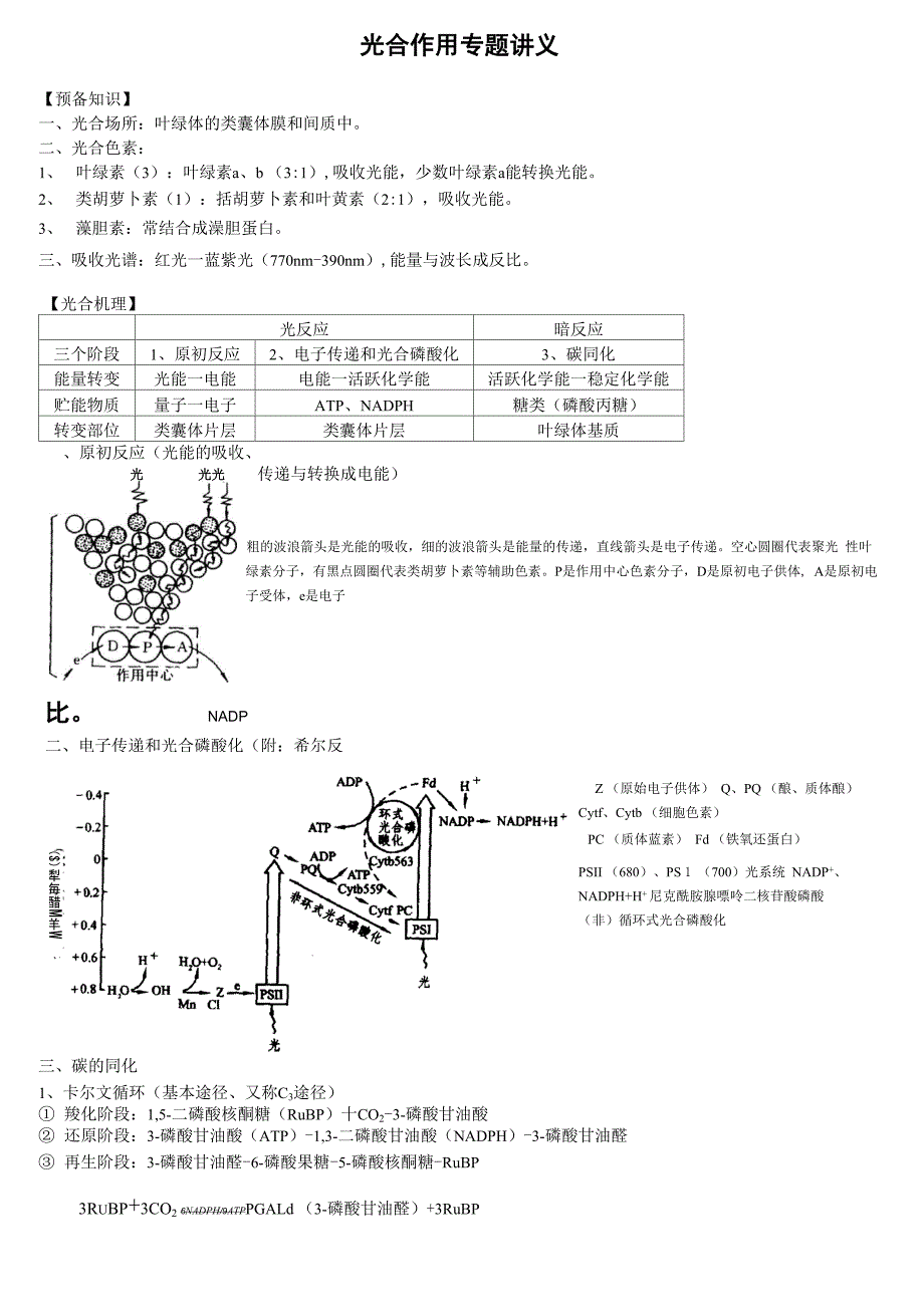 光合作用专题讲义_第1页