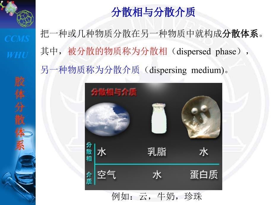 物理化学：胶体分散体系_第5页