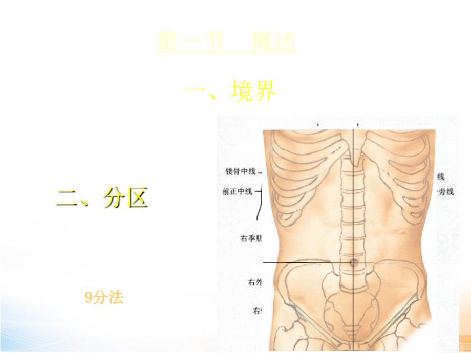 腹部教学课件_第3页