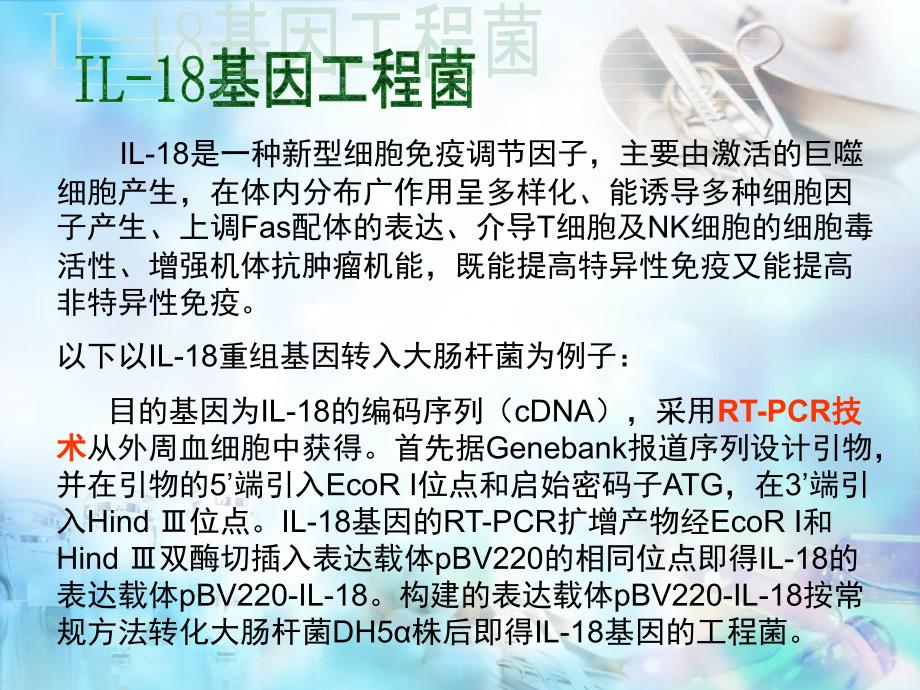 IL-18基因工程菌培养基的选择PPT课件_第2页