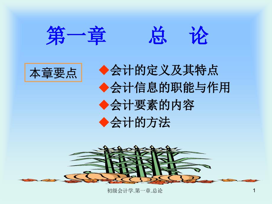 初级会计学第一章总论.ppt_第1页