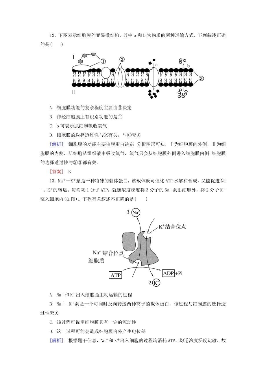 20192020学年新教材高中生物质量检测4细胞的物质输入和输出新人教版必修12_第5页