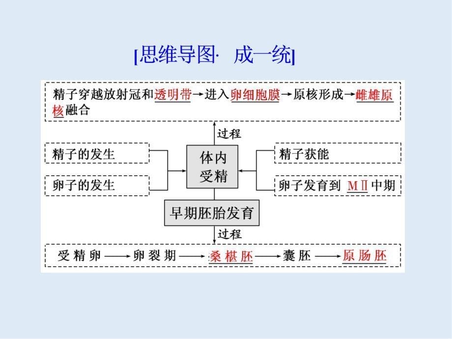 版高考生物精准备考一轮全国通用版课件：选修3 第3讲　胚胎工程及生物技术的安全性和伦理问题_第5页