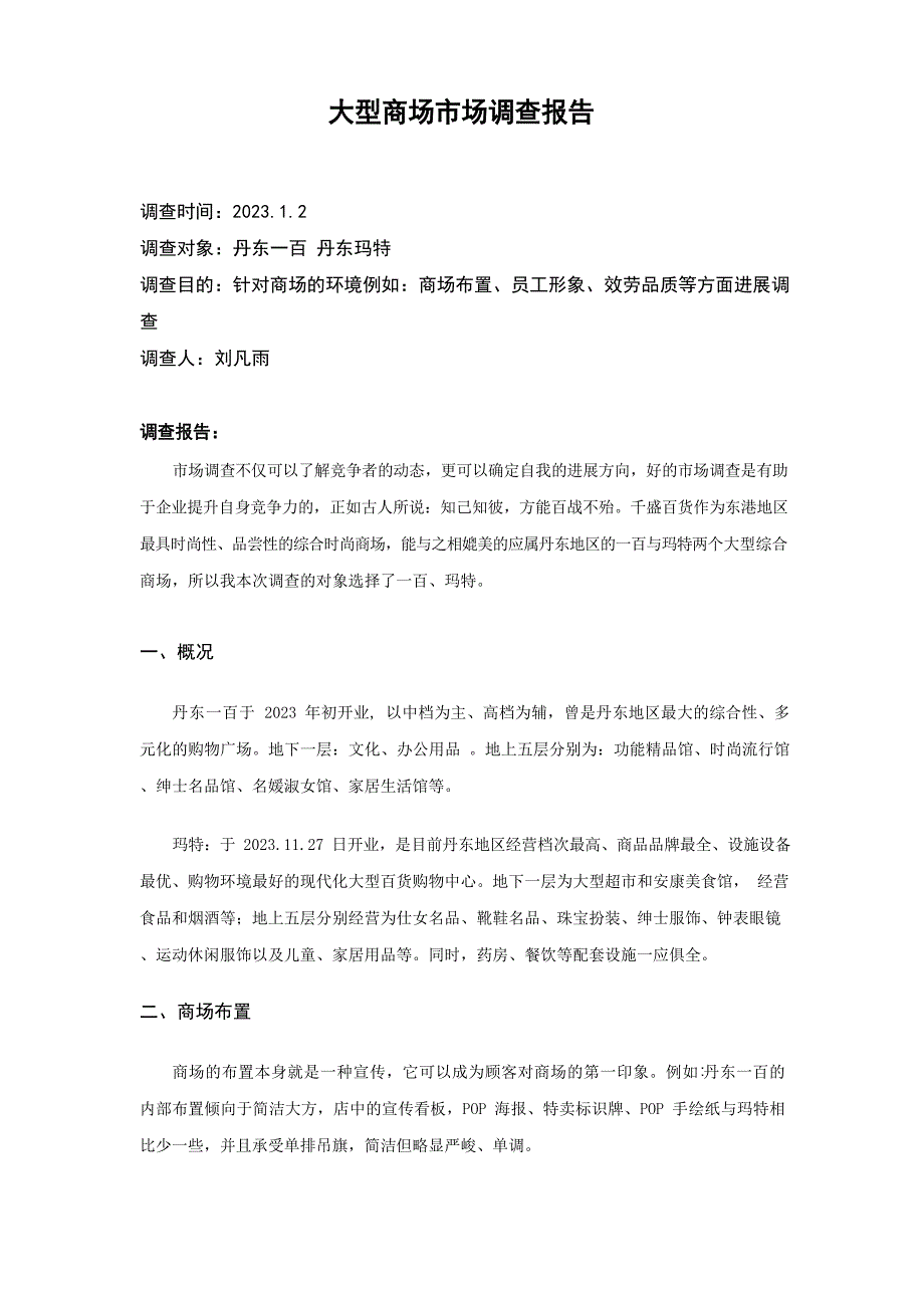 大型商场市场调查报告_第1页