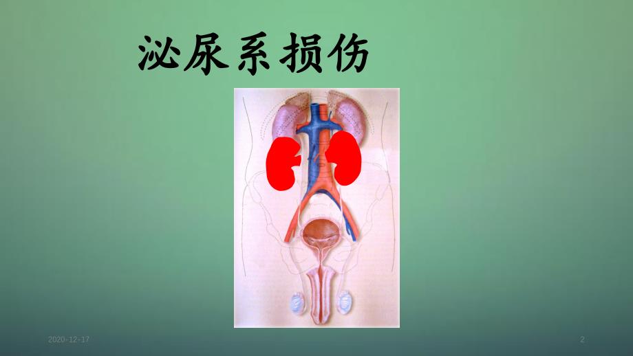 血尿病人的护理措施精选干货_第2页